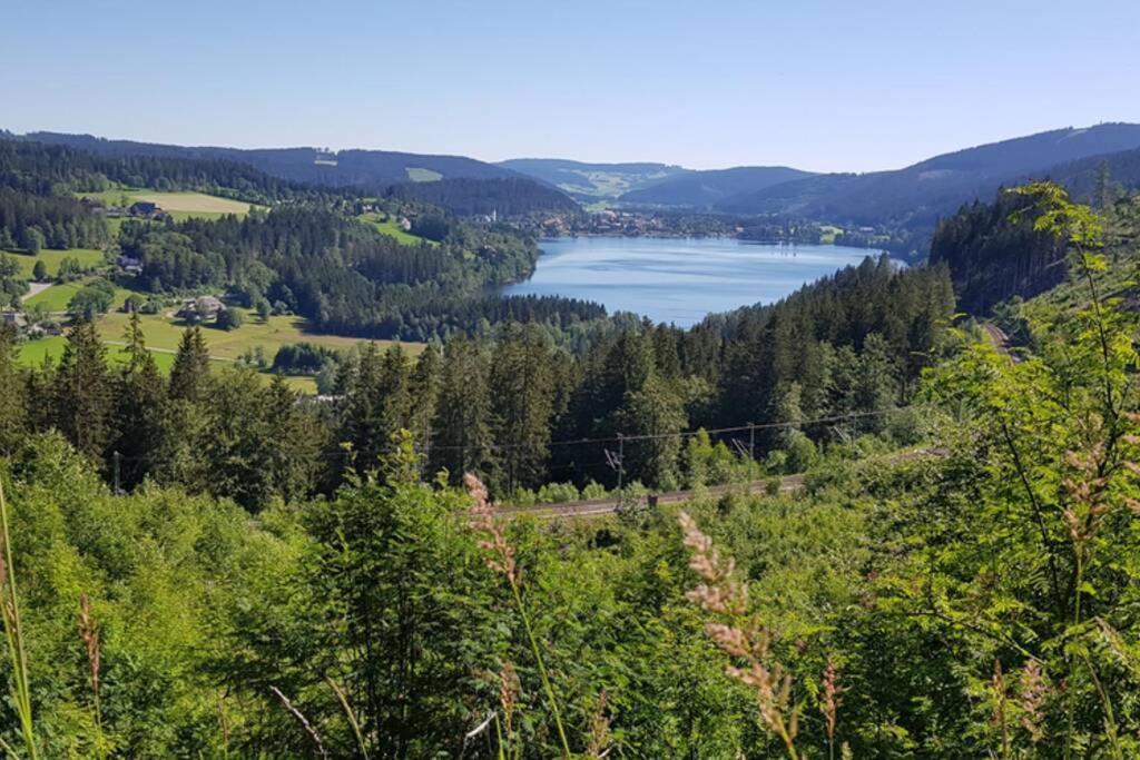 Apartamento Black Forest Schwarzwaldblick Indoorpool Natur Ruhe Komfort Höchenschwand Exterior foto